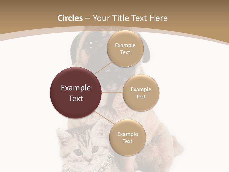 Feline Companion Cat PowerPoint Template
