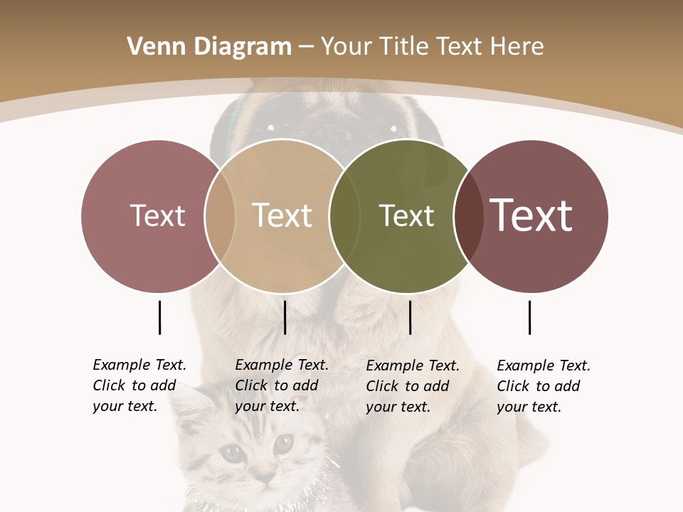 Feline Companion Cat PowerPoint Template