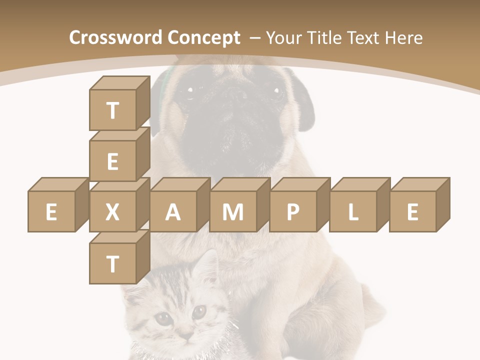 Feline Companion Cat PowerPoint Template