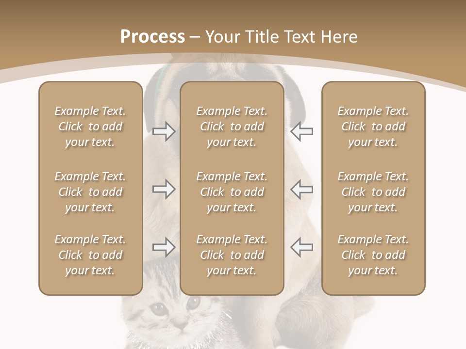 Feline Companion Cat PowerPoint Template