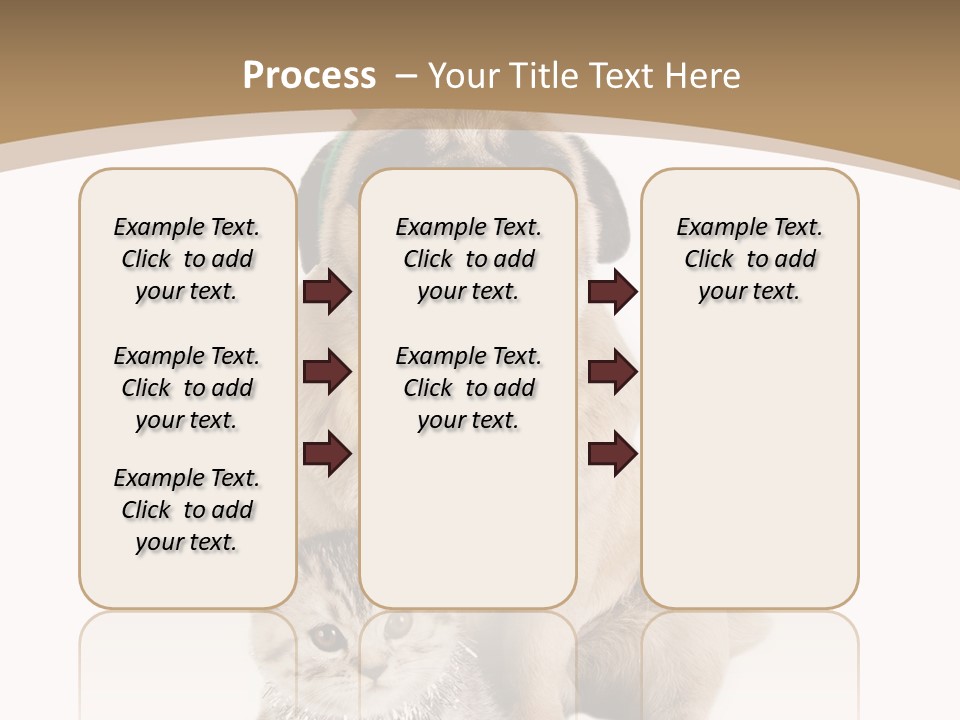 Feline Companion Cat PowerPoint Template