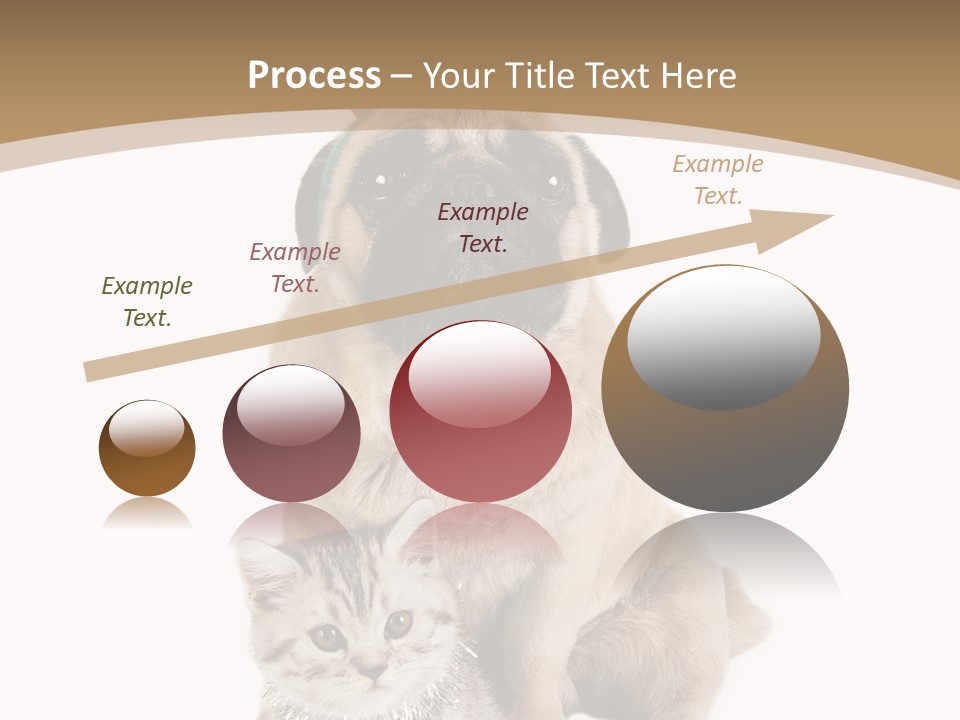 Feline Companion Cat PowerPoint Template