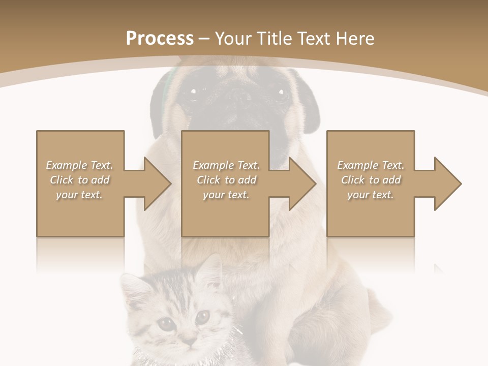 Feline Companion Cat PowerPoint Template