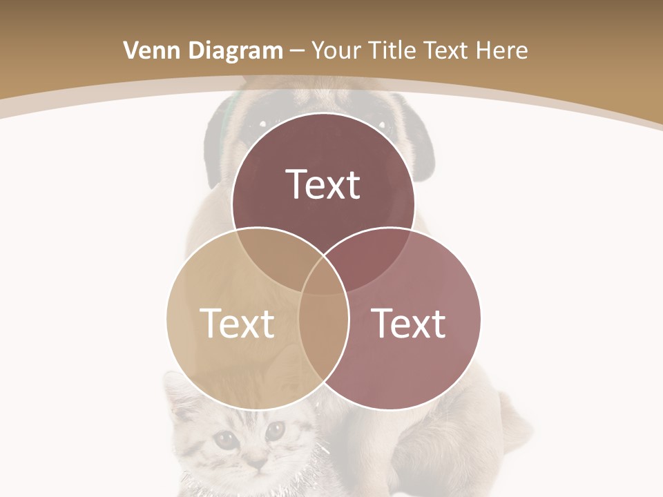Feline Companion Cat PowerPoint Template
