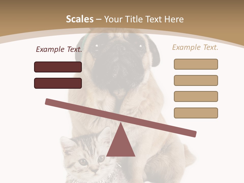 Feline Companion Cat PowerPoint Template