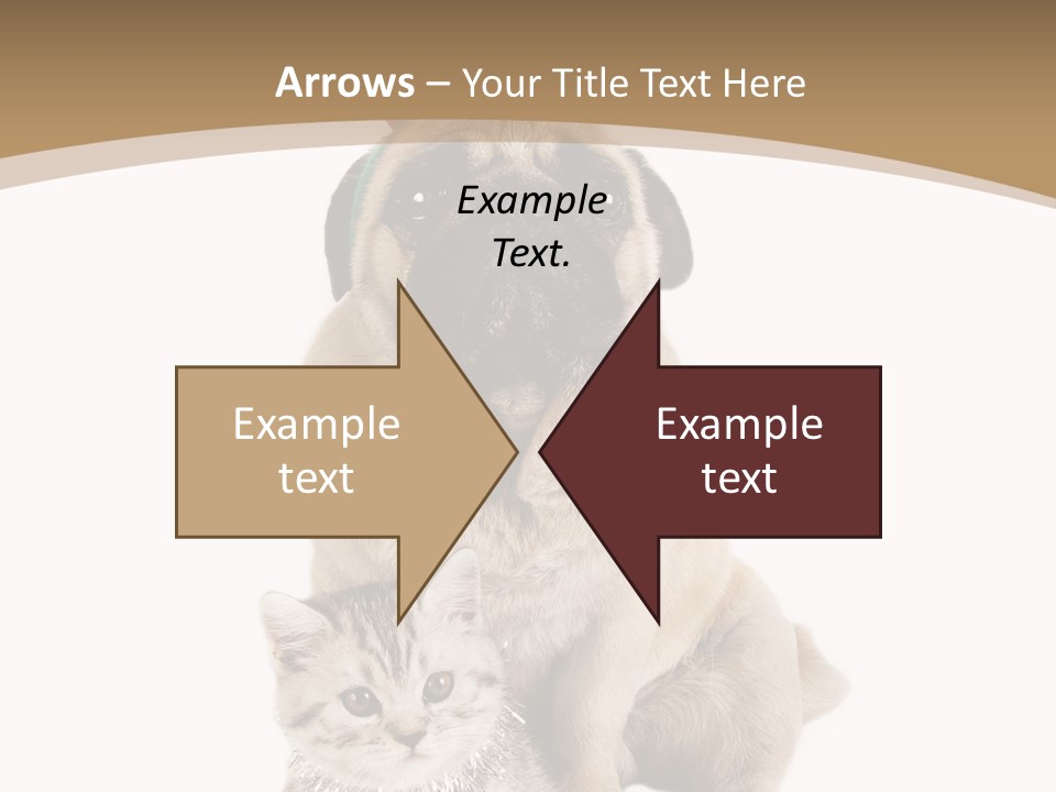 Feline Companion Cat PowerPoint Template