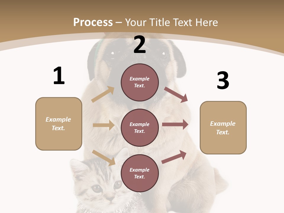 Feline Companion Cat PowerPoint Template