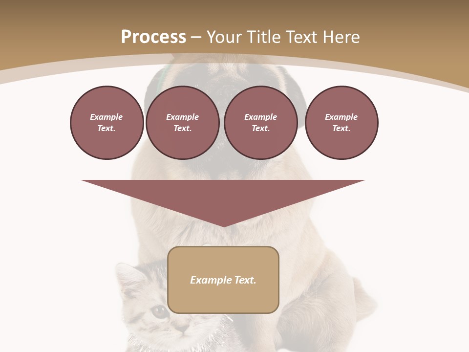 Feline Companion Cat PowerPoint Template