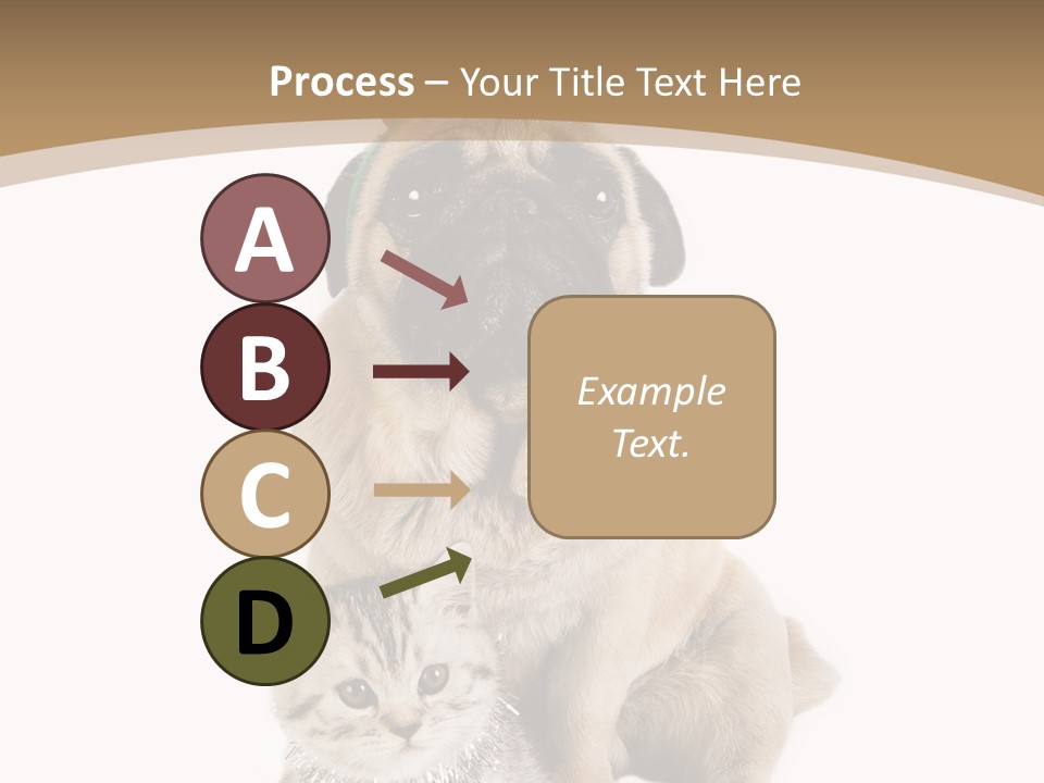 Feline Companion Cat PowerPoint Template