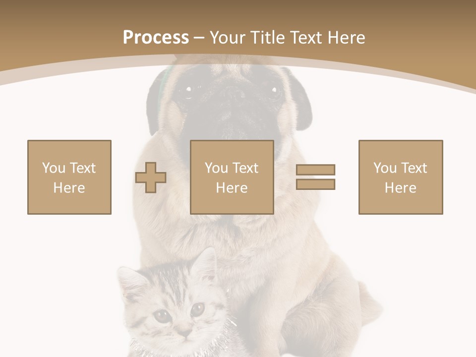 Feline Companion Cat PowerPoint Template