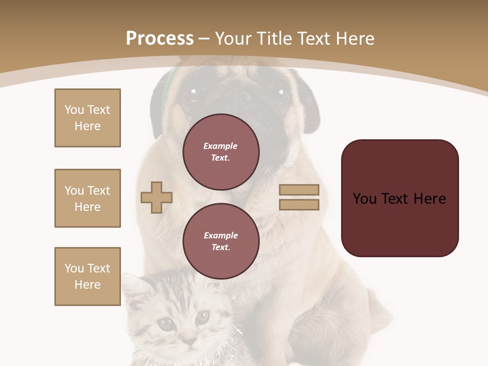Feline Companion Cat PowerPoint Template