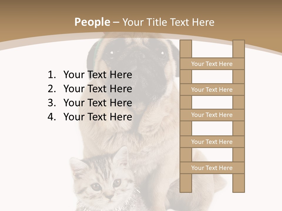 Feline Companion Cat PowerPoint Template