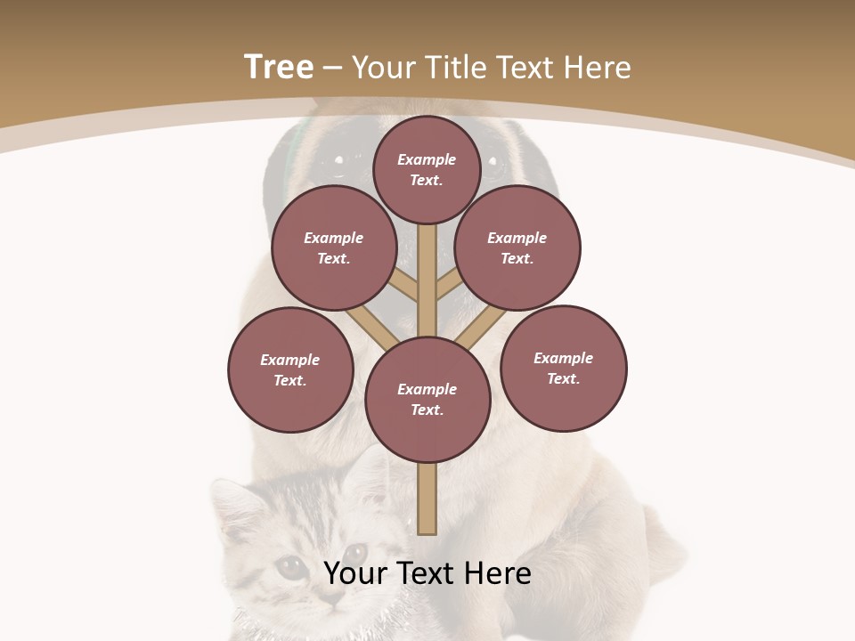 Feline Companion Cat PowerPoint Template