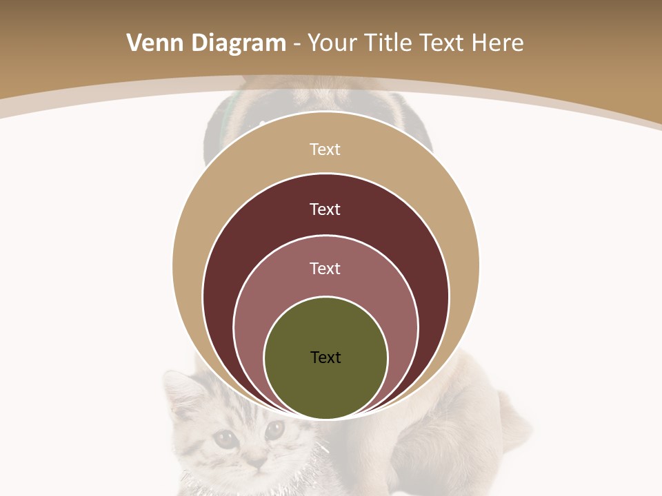 Feline Companion Cat PowerPoint Template