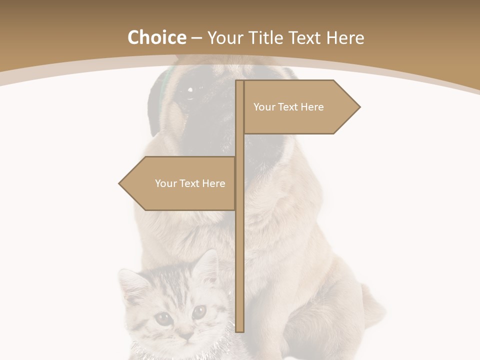 Feline Companion Cat PowerPoint Template