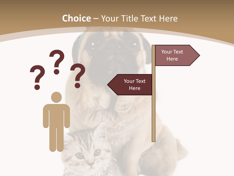 Feline Companion Cat PowerPoint Template