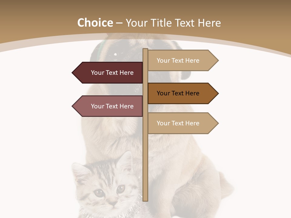 Feline Companion Cat PowerPoint Template