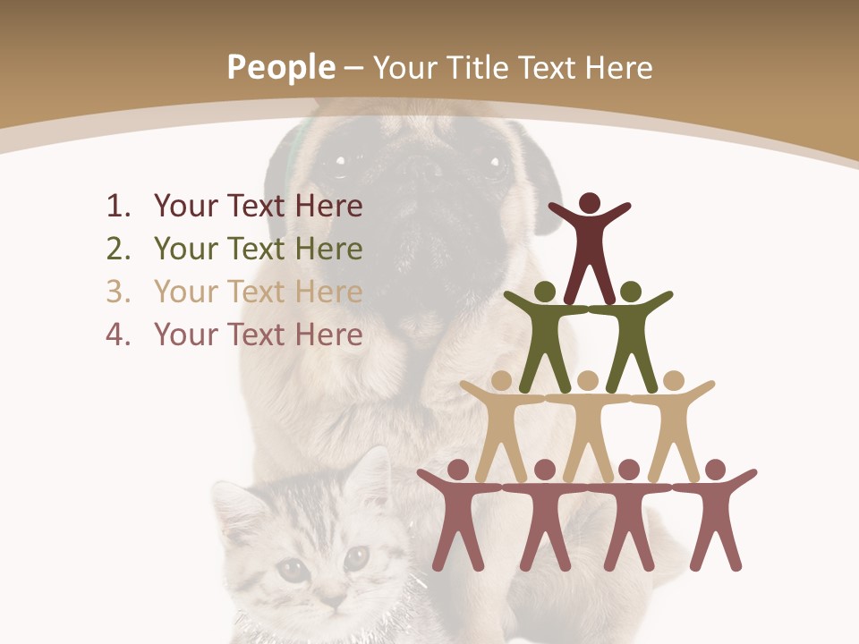 Feline Companion Cat PowerPoint Template