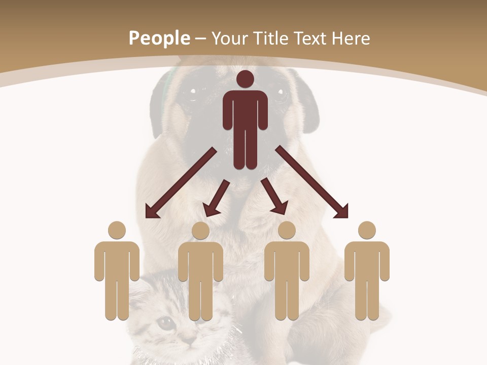 Feline Companion Cat PowerPoint Template