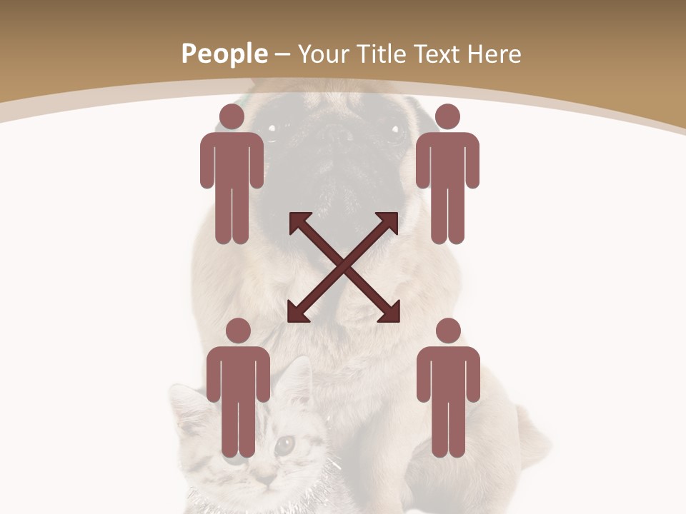 Feline Companion Cat PowerPoint Template