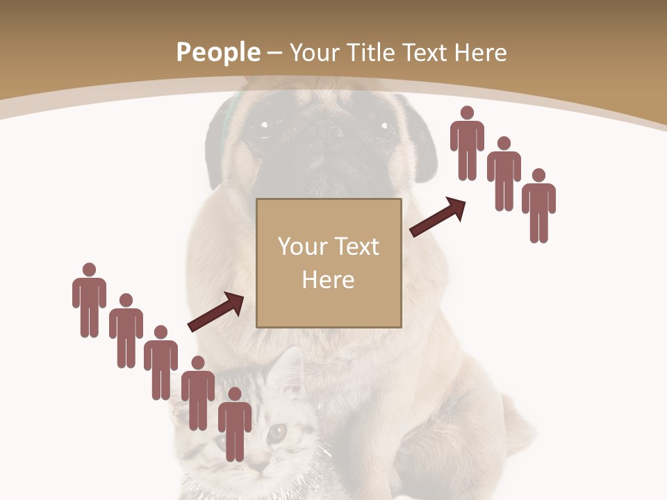 Feline Companion Cat PowerPoint Template