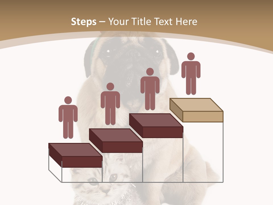 Feline Companion Cat PowerPoint Template