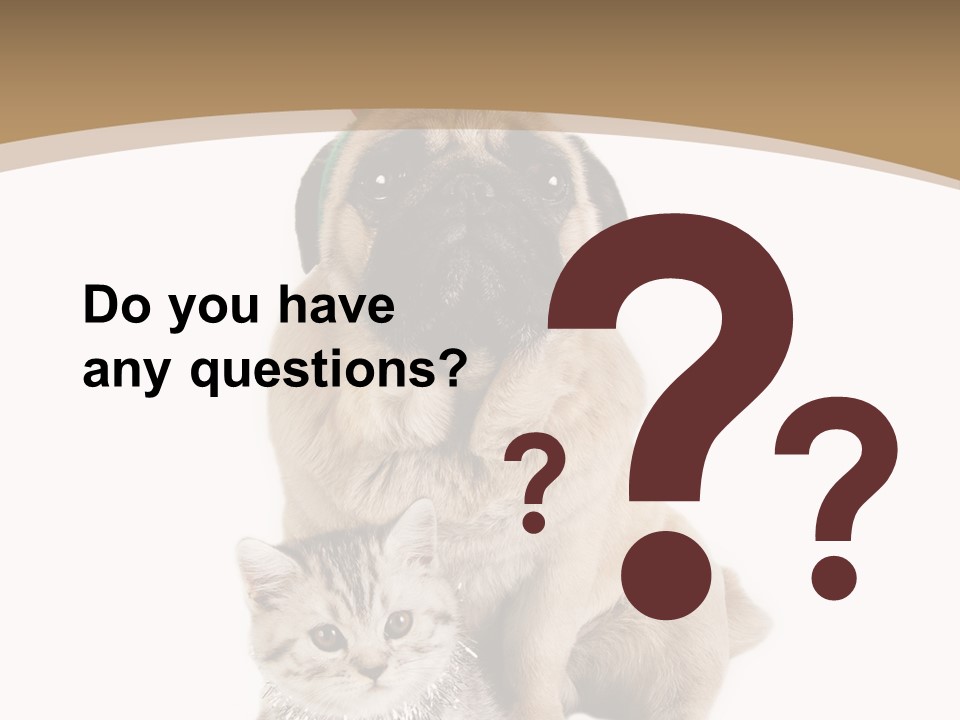 Feline Companion Cat PowerPoint Template