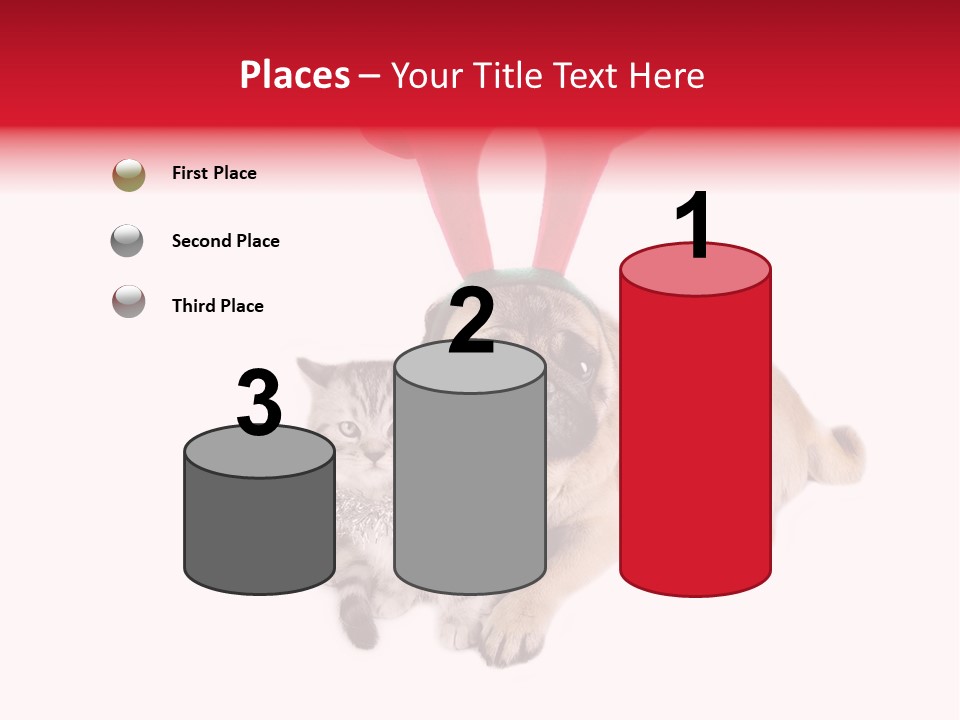 White Humorous Kitten PowerPoint Template