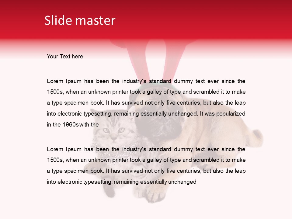 White Humorous Kitten PowerPoint Template