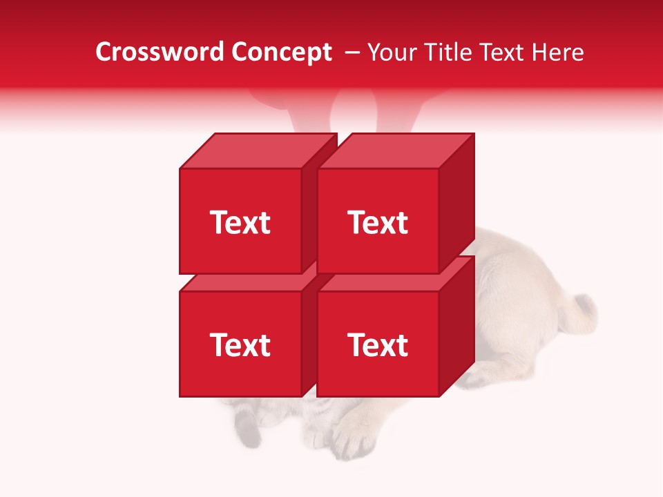 White Humorous Kitten PowerPoint Template