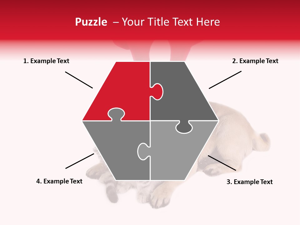 White Humorous Kitten PowerPoint Template