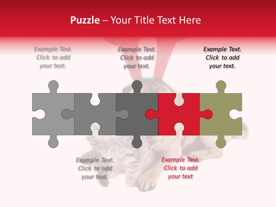 White Humorous Kitten PowerPoint Template