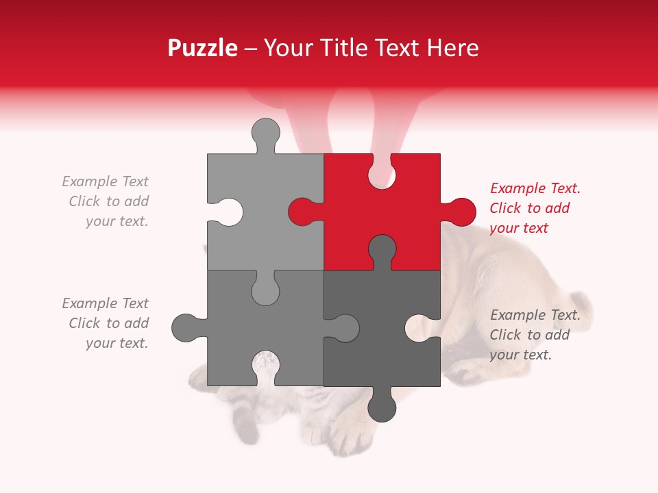 White Humorous Kitten PowerPoint Template