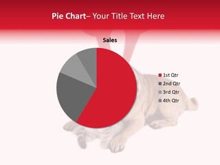 White Humorous Kitten PowerPoint Template