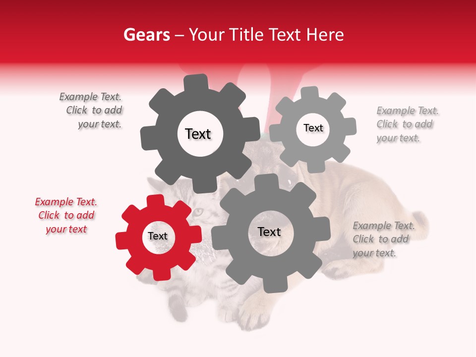 White Humorous Kitten PowerPoint Template