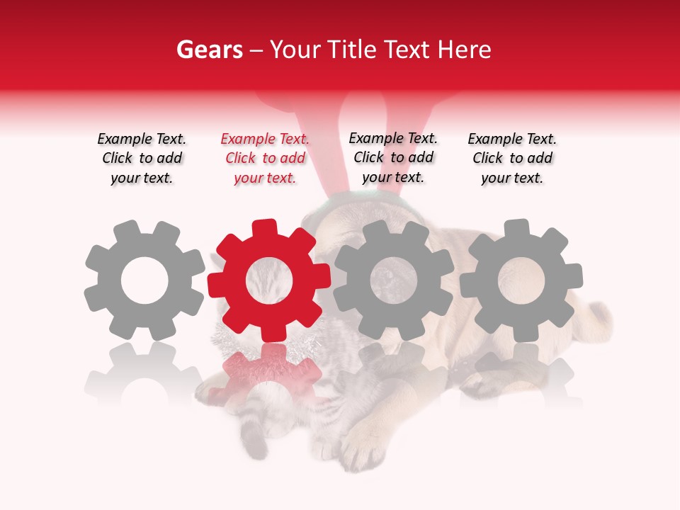 White Humorous Kitten PowerPoint Template