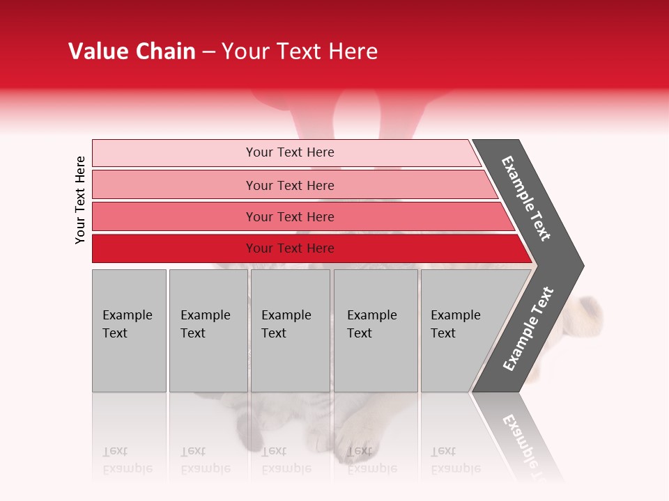 White Humorous Kitten PowerPoint Template