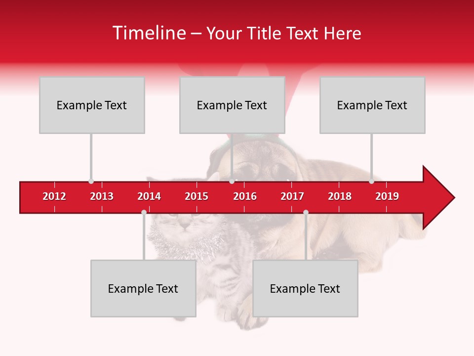 White Humorous Kitten PowerPoint Template