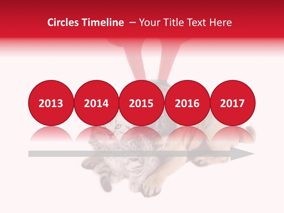 White Humorous Kitten PowerPoint Template