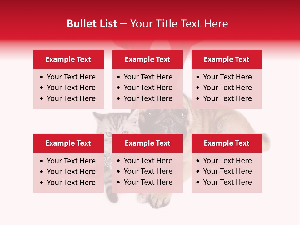 White Humorous Kitten PowerPoint Template