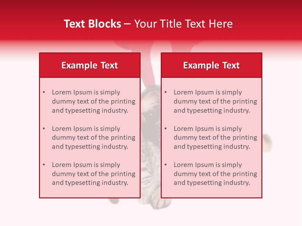 White Humorous Kitten PowerPoint Template