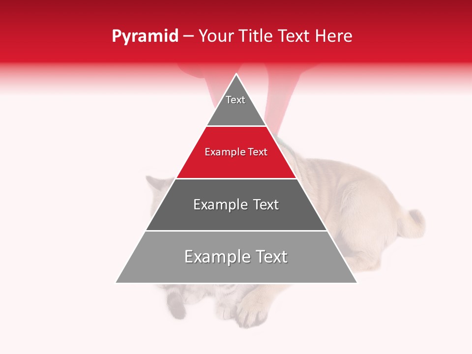 White Humorous Kitten PowerPoint Template