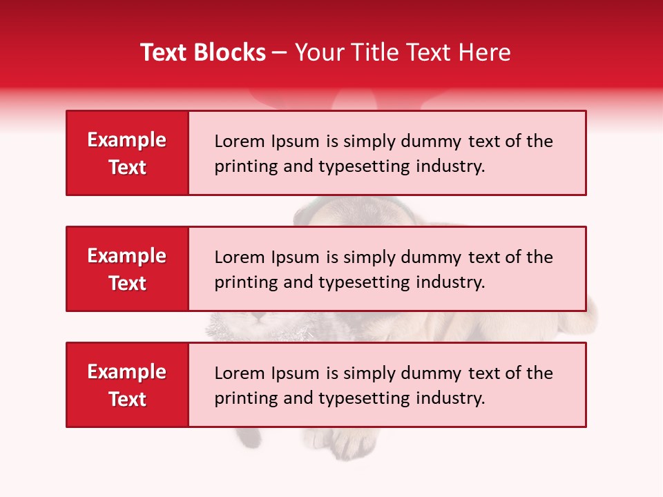 White Humorous Kitten PowerPoint Template