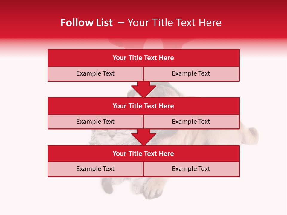 White Humorous Kitten PowerPoint Template