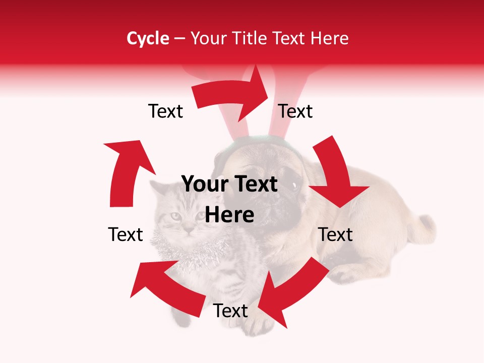 White Humorous Kitten PowerPoint Template