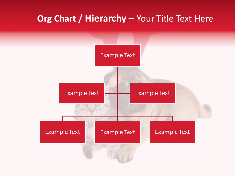 White Humorous Kitten PowerPoint Template