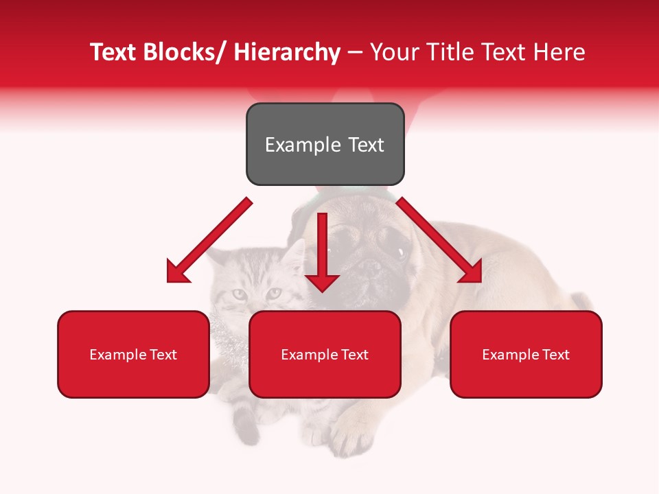 White Humorous Kitten PowerPoint Template