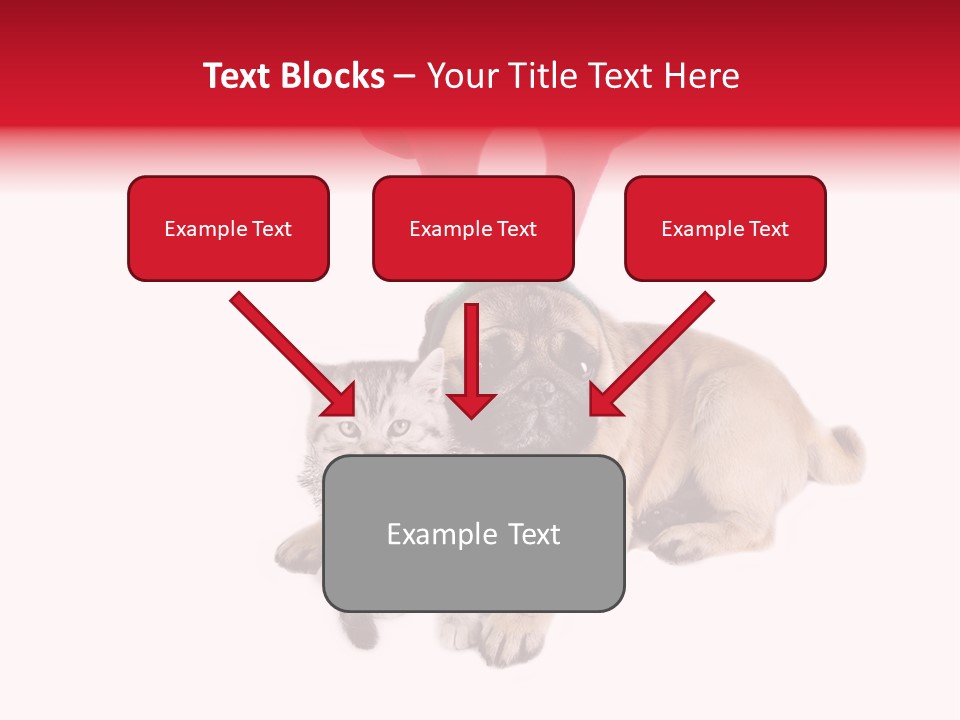 White Humorous Kitten PowerPoint Template