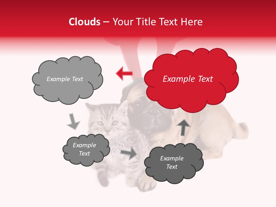 White Humorous Kitten PowerPoint Template