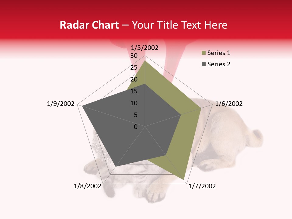 White Humorous Kitten PowerPoint Template